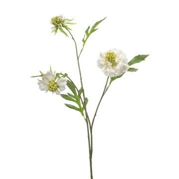 Kunstzweig Scabiosa RUXTER, weiß, 60cm, Ø6-8cm