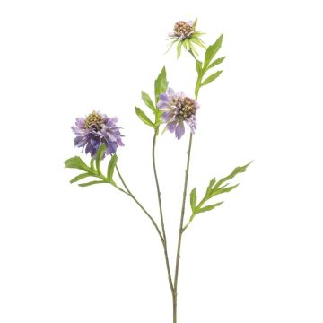 Kunstzweig Scabiosa RUXTER, lila, 60cm, Ø6-8cm Kunstzweig Scabiosa RUXTER, lila, 60cm, Ø6-8cm