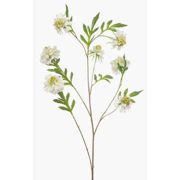 Kunstzweig Scabiosa RUXTER, weiß, 110cm, Ø7-9cm