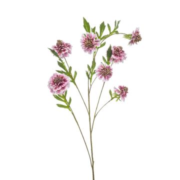 Kunstzweig Scabiosa RUXTER, hellrosa, 115cm