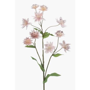 Deko Zweig Sterndolde JAXRON, hellrosa, 70cm
