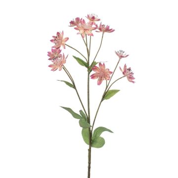 Deko Zweig Sterndolde JAXRON, rosa, 70cm