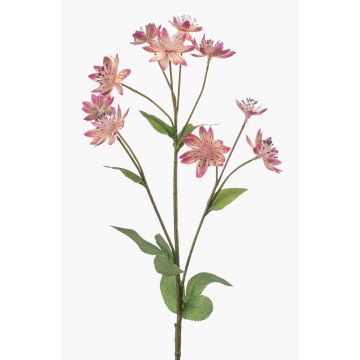 Deko Zweig Sterndolde JAXRON, rosa, 70cm