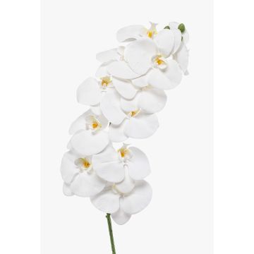 Künstlicher Phalaenopsis Orchideenzweig XURI, weiß, 95cm, Ø12,5cm Künstlicher Phalaenopsis Orchideenzweig XURI, weiß, 95cm, Ø12,5cm