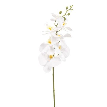 Künstlicher Phalaenopsis Orchideenzweig AXELOR, weiß, 85cm