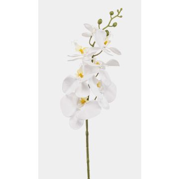 Künstlicher Phalaenopsis Orchideenzweig AXELOR, weiß, 85cm Künstlicher Phalaenopsis Orchideenzweig AXELOR, weiß, 85cm