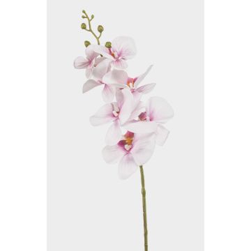 Künstlicher Phalaenopsis Orchideenzweig AXELOR, weiß-rosa, 85cm