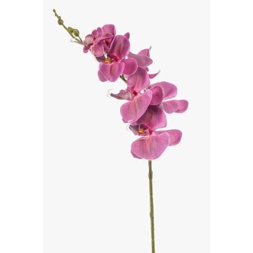 Künstlicher Phalaenopsis Orchideenzweig AXELOR, pink, 85cm
