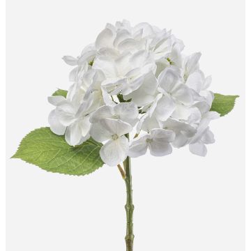 Hortensie künstlich EXORIN, weiß, 50cm, Ø17cm Hortensie künstlich EXORIN, weiß, 50cm, Ø17cm