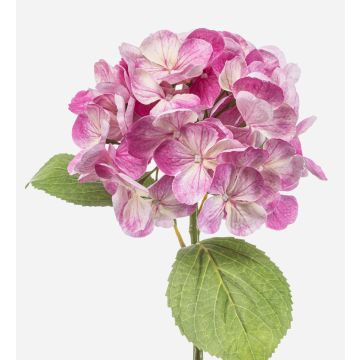Hortensie künstlich EXORIN, rosa, 50cm, Ø17cm Hortensie künstlich EXORIN, rosa, 50cm, Ø17cm