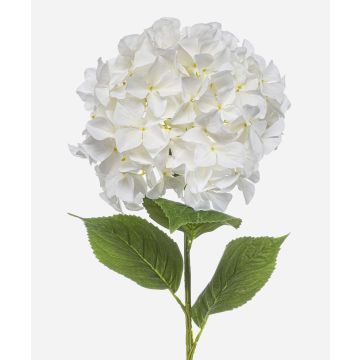 Künstliche Hortensie BRITTANY, weiß, 95cm, Ø28cm Künstliche Hortensie BRITTANY, weiß, 95cm, Ø28cm