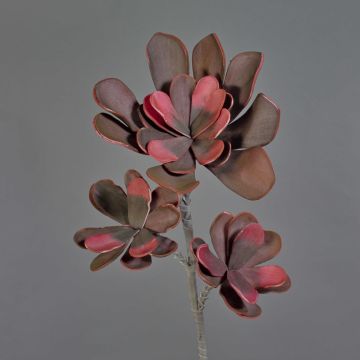 Künstlicher Echeveria tinkerbell Zweig Kunststoffschaum ORALY, dunkelviolett, 95cm, Ø15-27cm