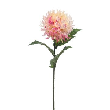 Künstliche Chrysantheme SAXLER, rosa-pink-weiß, 60cm, Ø12cm