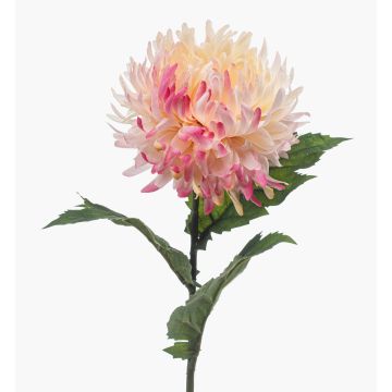 Künstliche Chrysantheme SAXLER, rosa-pink-weiß, 60cm, Ø12cm