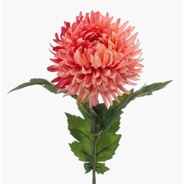 Künstliche Chrysantheme SAXLER, koralle, 60cm, Ø12cm