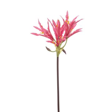 Künstliche Gartenamaryllis XAVLER, rosa, 80cm Künstliche Gartenamaryllis XAVLER, rosa, 80cm