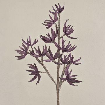 Sedum rubrotinctum Kunststoffschaum Zweig künstlich MOMOKA, dunkelviolett, 105cm