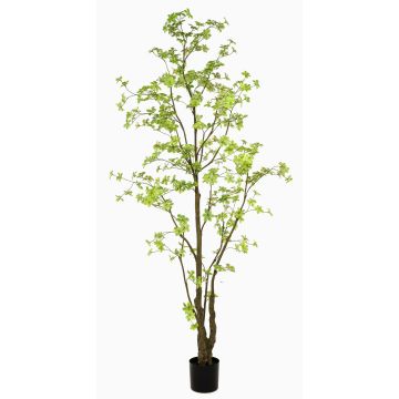 Kunstbaum Kapuzinerkresse SULLA, Kunststamm, grün, 270cm Kunstbaum Kapuzinerkresse SULLA, Kunststamm, grün, 270cm
