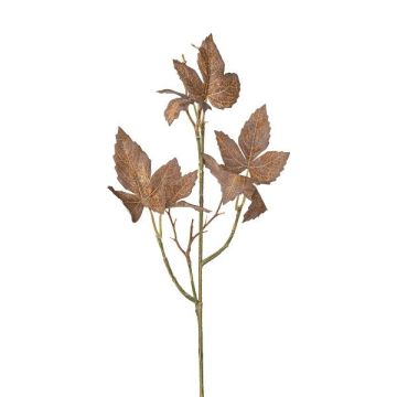 Dekozweig Dreispitzige Jungfernrebe PLERMO, braun, 60cm