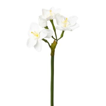 Künstliche Blume Narzisse VLAMOR, weiß, 40cm
