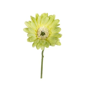 Künstliche Blume Gerbera ARGENOS, hellgrün, 30cm