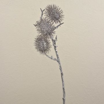 Künstlicher Rambutanfrucht Zweig WARDA, grau-weiß, 60cm