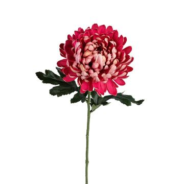 Textilblume Chrysantheme ASAHLIA, dunkelrosa, 65cm Textilblume Chrysantheme ASAHLIA, dunkelrosa, 65cm