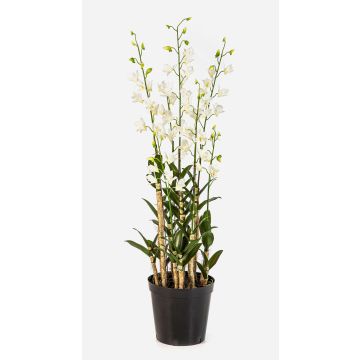 Kunstblume Dendrobium Orchidee LOFINA im Dekotopf, weiß, 130cm