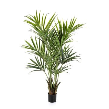 Künstliche Kentia Palme OMAYRA, schwer entflammbar, 170cm