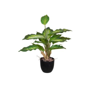 Fake Pflanze Dieffenbachia ATTERESA, Wurzeln, Dekotopf, grün-creme, 35cm Fake Pflanze Dieffenbachia ATTERESA, Wurzeln, Dekotopf, grün-creme, 35cm