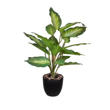 Fake Pflanze Dieffenbachia ATTERESA, Wurzeln, Dekotopf, grün-creme, 50cm Fake Pflanze Dieffenbachia ATTERESA, Wurzeln, Dekotopf, grün-creme, 50cm