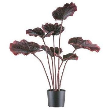 Kunst Strahlenpalme GRAVO, dunkelrot, 100cm