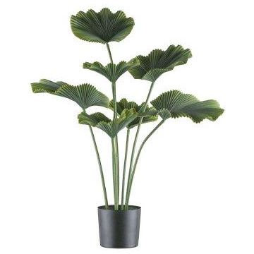 Kunst Strahlenpalme GRAVO, 100cm
