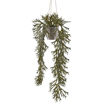 Dekohänger Geweihfarn Blumenampel DRIHER, Dekotopf, grün, 70cm