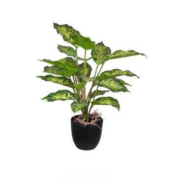 Fake Pflanze Dieffenbachia ATTERESA, Wurzeln, Dekotopf, grün, 50cm Fake Pflanze Dieffenbachia ATTERESA, Wurzeln, Dekotopf, grün, 50cm