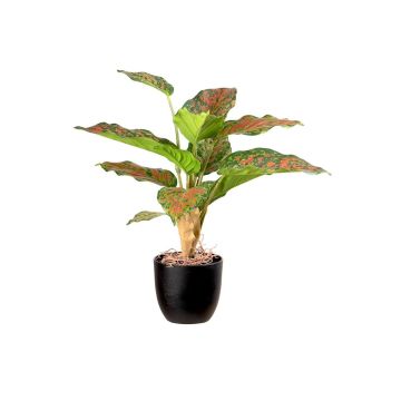 Fake Pflanze Dieffenbachia ATTERESA, Wurzeln, Dekotopf, grün-rot, 35cm Fake Pflanze Dieffenbachia ATTERESA, Wurzeln, Dekotopf, grün-rot, 35cm