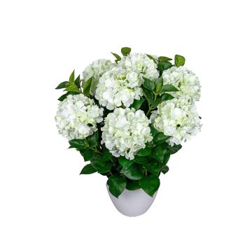Dekoblume Hortensie BAINALLA im Dekotopf, weiß-grün, 70cm Dekoblume Hortensie BAINALLA im Dekotopf, weiß-grün, 70cm