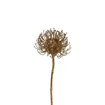Dekoblume Nadelkissen Protea SONDYL, gold, 50cm