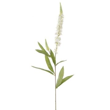 Künstliche Blume Ehrenpreis BANIALA, creme, 75cm Künstliche Blume Ehrenpreis BANIALA, creme, 75cm