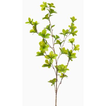 Künstlicher Zweig Pracht-Kapuzinerkresse TROPAL, grün, 90cm Künstlicher Zweig Pracht-Kapuzinerkresse TROPAL, grün, 90cm
