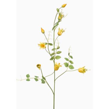 Deko Zweig Clematis LENOMA, gelb, 115cm