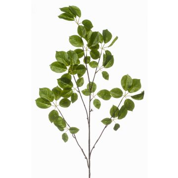 Deko Zweig Schefflera KRUVEN, grün, 120cm