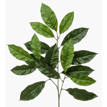 Deko Zweig Walnussbaum BANIESA, schwer brennbar, grün, 70cm