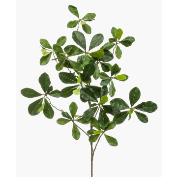 Künstlicher Bucida Buceras Zweig TANIESA, schwer brennbar, 65cm