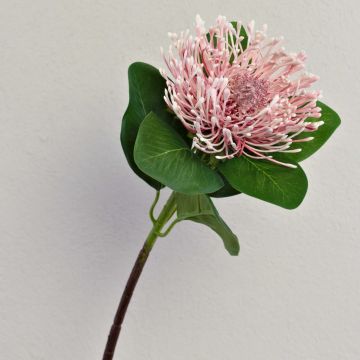 Kunstblume Nadelkissen Protea TANJA, rosa-pink, 65cm, Ø10cm