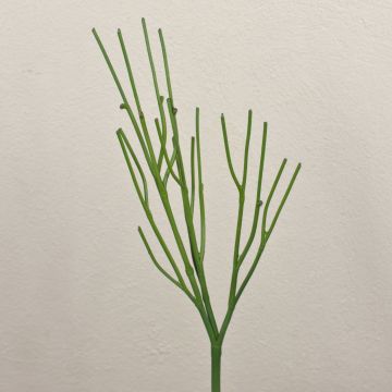 Künstliche Bleistiftpflanze BENEDETTO, grün, 50cm
