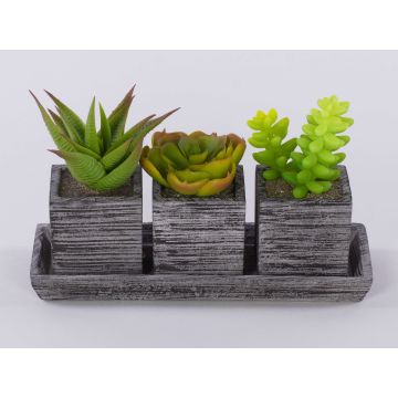 Unechtes Sukkulenten Gesteck SYLVIA in Dekotöpfe, grün, 19x7,5x11cm Unechtes Sukkulenten Gesteck SYLVIA in Dekotöpfe, grün, 19x7,5x11cm