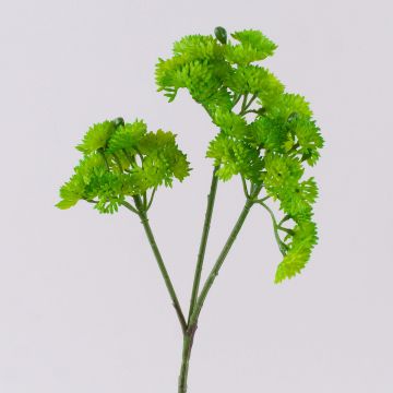 Künstlicher Sedum rubrotinctum Zweig JAROH, grün, 35cm Künstlicher Sedum rubrotinctum Zweig JAROH, grün, 35cm