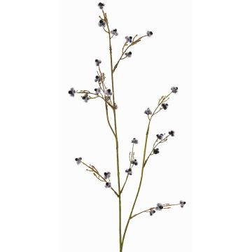 Künstlicher Zweig Stirlingia latifolia COLLAN, schwarz-weiß, 75cm, Ø1cm Künstlicher Zweig Stirlingia latifolia COLLAN, schwarz-weiß, 75cm, Ø1cm
