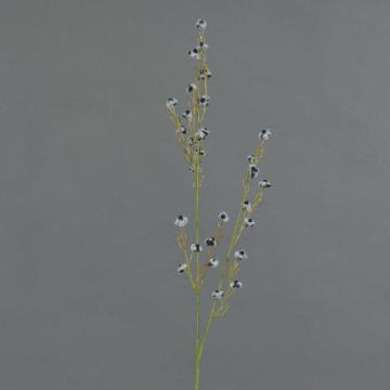 Künstlicher Zweig Stirlingia latifolia COLLAN, schwarz-weiß, 75cm, Ø1cm